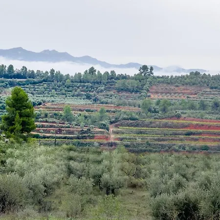 La Maysou Holiday home El Masroig